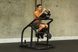 Тренажер для пресса Ab Coaster CTL ABS1001B